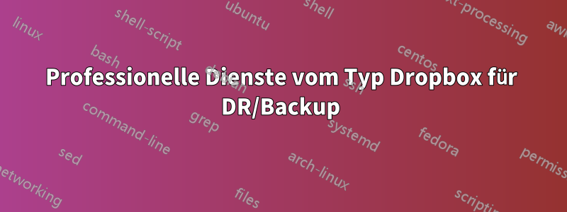 Professionelle Dienste vom Typ Dropbox für DR/Backup