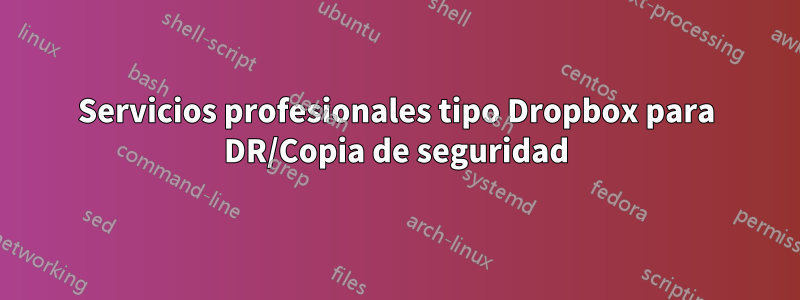 Servicios profesionales tipo Dropbox para DR/Copia de seguridad