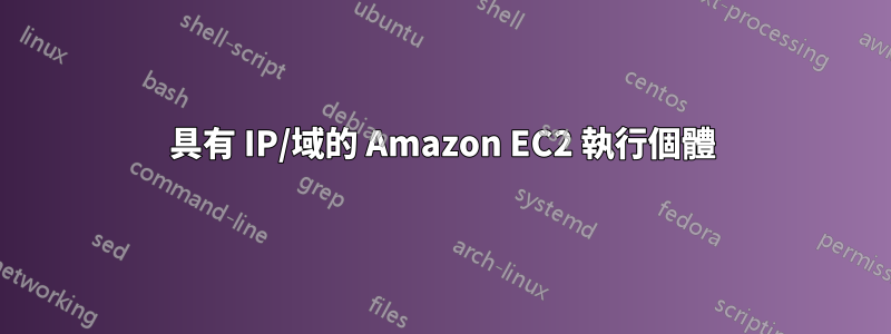 具有 IP/域的 Amazon EC2 執行個體