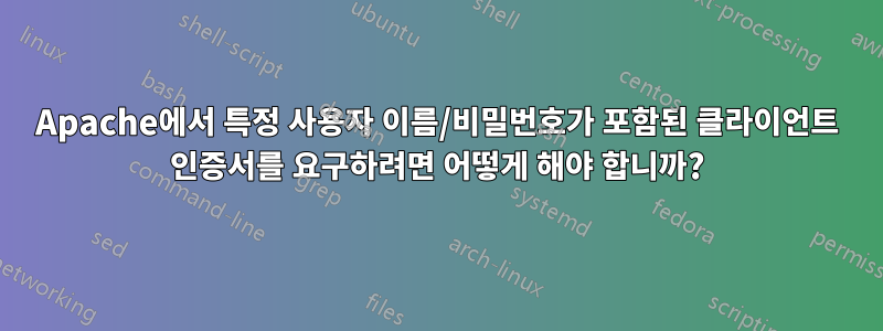 Apache에서 특정 사용자 이름/비밀번호가 포함된 클라이언트 인증서를 요구하려면 어떻게 해야 합니까?