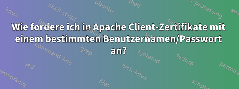 Wie fordere ich in Apache Client-Zertifikate mit einem bestimmten Benutzernamen/Passwort an?