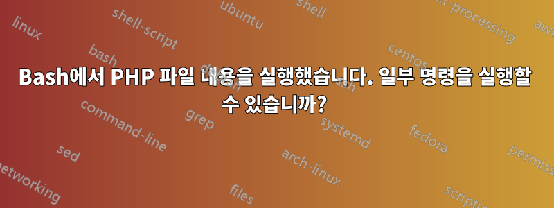 Bash에서 PHP 파일 내용을 실행했습니다. 일부 명령을 실행할 수 있습니까?