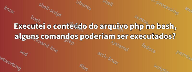 Executei o conteúdo do arquivo php no bash, alguns comandos poderiam ser executados?