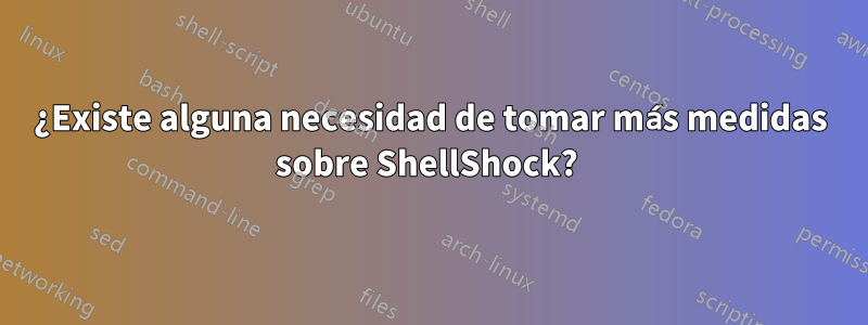 ¿Existe alguna necesidad de tomar más medidas sobre ShellShock? 
