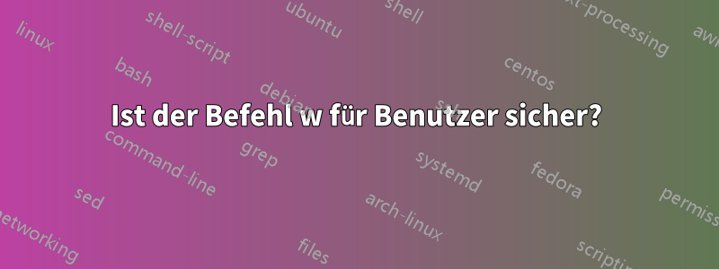 Ist der Befehl w für Benutzer sicher?