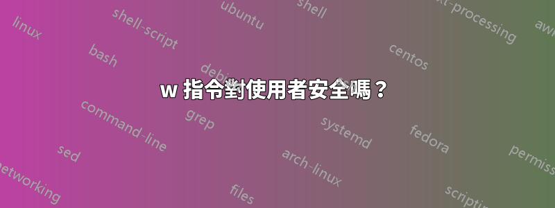 w 指令對使用者安全嗎？