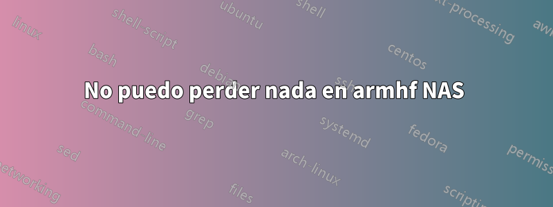 No puedo perder nada en armhf NAS