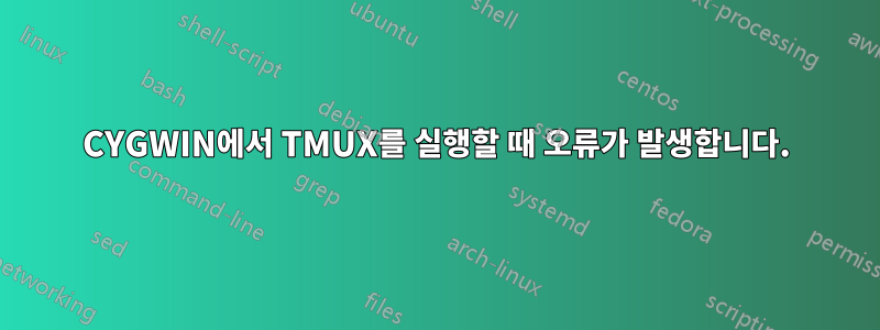 CYGWIN에서 TMUX를 실행할 때 오류가 발생합니다.
