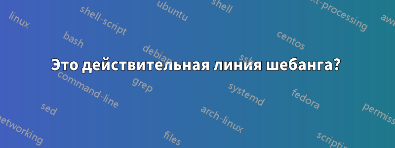 Это действительная линия шебанга?