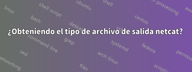 ¿Obteniendo el tipo de archivo de salida netcat?