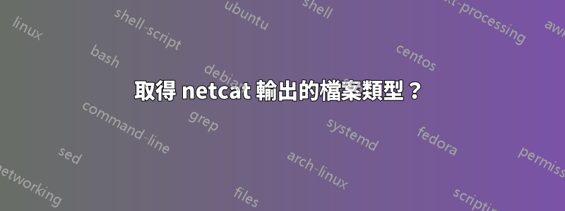 取得 netcat 輸出的檔案類型？