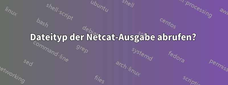 Dateityp der Netcat-Ausgabe abrufen?