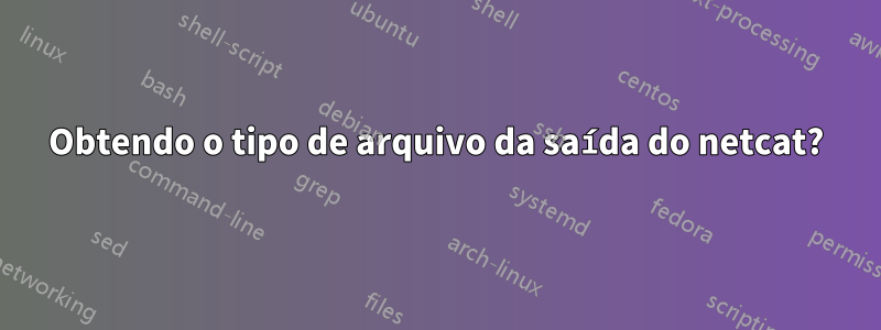 Obtendo o tipo de arquivo da saída do netcat?