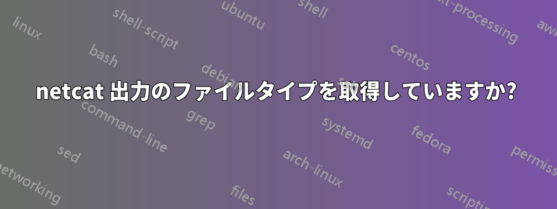 netcat 出力のファイルタイプを取得していますか?