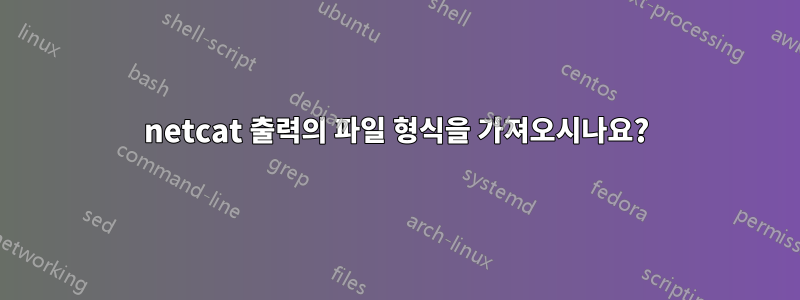 netcat 출력의 파일 형식을 가져오시나요?