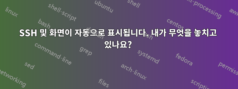 SSH 및 화면이 자동으로 표시됩니다. 내가 무엇을 놓치고 있나요?