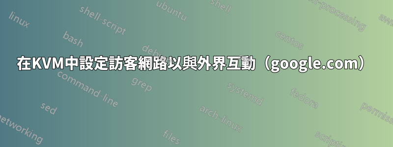 在KVM中設定訪客網路以與外界互動（google.com）
