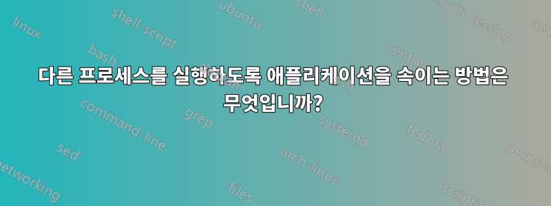 다른 프로세스를 실행하도록 애플리케이션을 속이는 방법은 무엇입니까?