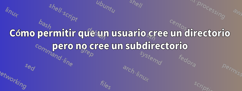 Cómo permitir que un usuario cree un directorio pero no cree un subdirectorio