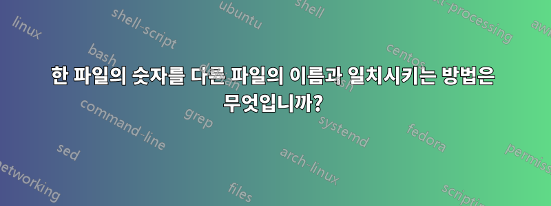 한 파일의 숫자를 다른 파일의 이름과 일치시키는 방법은 무엇입니까?