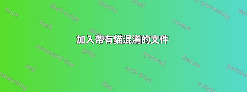 加入帶有貓混淆的文件