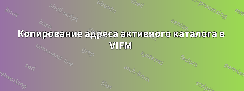 Копирование адреса активного каталога в VIFM