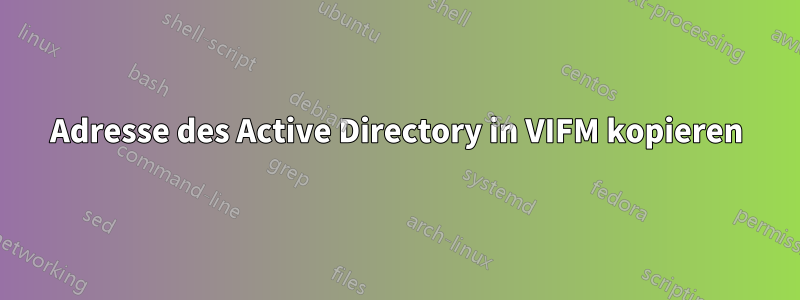 Adresse des Active Directory in VIFM kopieren
