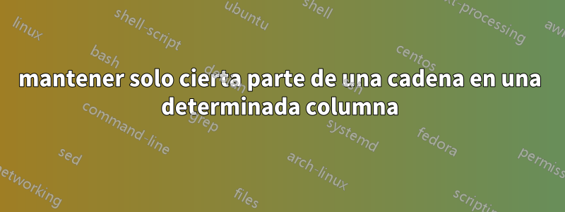 mantener solo cierta parte de una cadena en una determinada columna