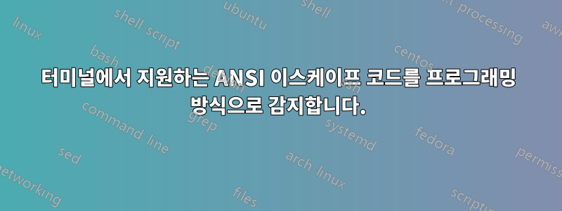 터미널에서 지원하는 ANSI 이스케이프 코드를 프로그래밍 방식으로 감지합니다.