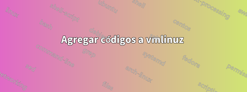 Agregar códigos a vmlinuz