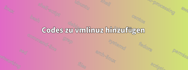 Codes zu vmlinuz hinzufügen