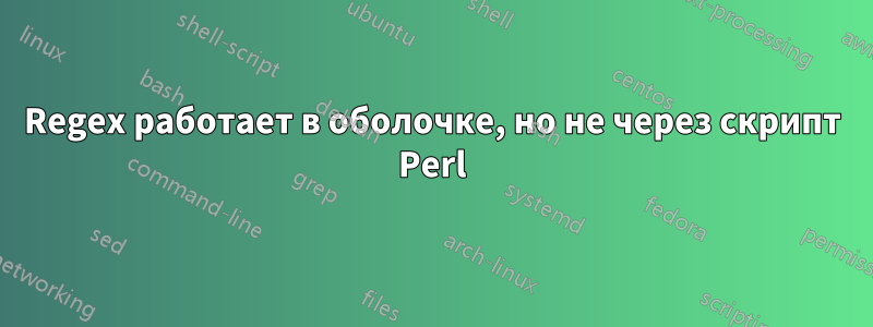 Regex работает в оболочке, но не через скрипт Perl