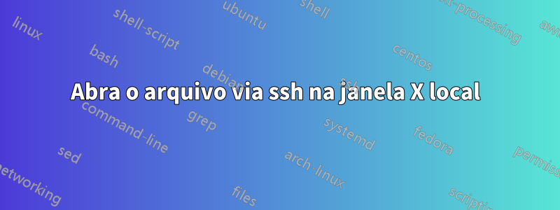 Abra o arquivo via ssh na janela X local