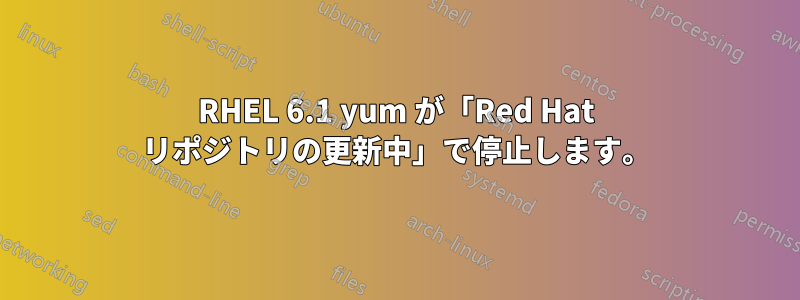 RHEL 6.1 yum が「Red Hat リポジトリの更新中」で停止します。