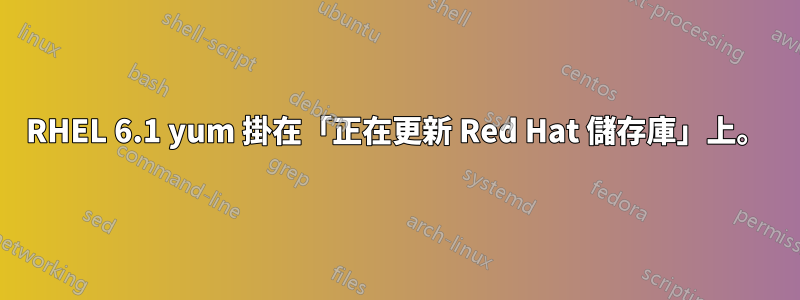 RHEL 6.1 yum 掛在「正在更新 Red Hat 儲存庫」上。