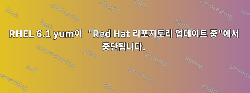 RHEL 6.1 yum이 "Red Hat 리포지토리 업데이트 중"에서 중단됩니다.