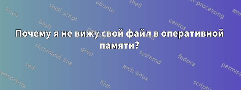 Почему я не вижу свой файл в оперативной памяти?