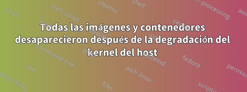 Todas las imágenes y contenedores desaparecieron después de la degradación del kernel del host