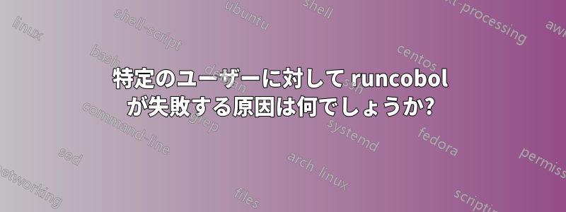 特定のユーザーに対して runco​​bol が失敗する原因は何でしょうか?