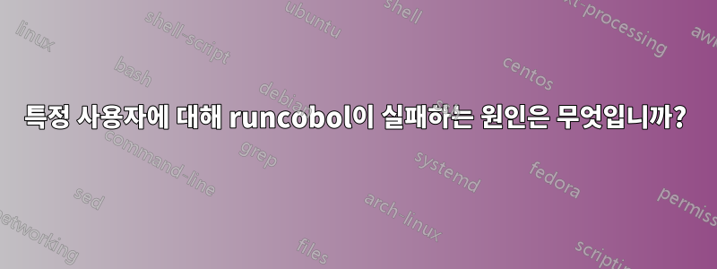 특정 사용자에 대해 runcobol이 실패하는 원인은 무엇입니까?