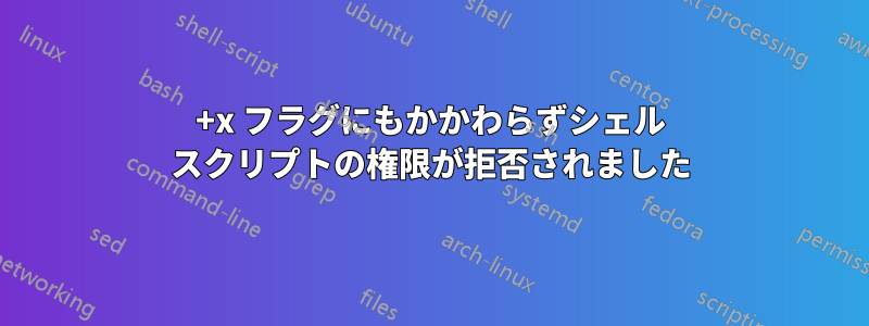 +x フラグにもかかわらずシェル スクリプトの権限が拒否されました