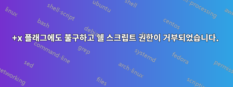 +x 플래그에도 불구하고 쉘 스크립트 권한이 거부되었습니다.