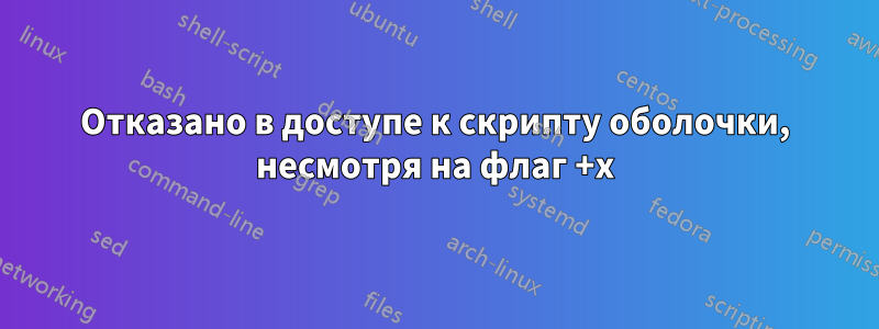 Отказано в доступе к скрипту оболочки, несмотря на флаг +x