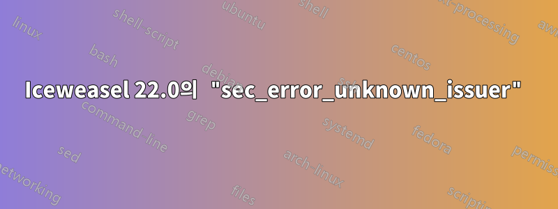 Iceweasel 22.0의 "sec_error_unknown_issuer"