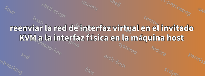 reenviar la red de interfaz virtual en el invitado KVM a la interfaz física en la máquina host