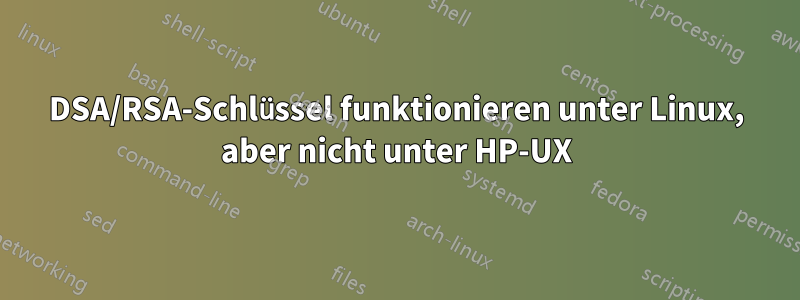 DSA/RSA-Schlüssel funktionieren unter Linux, aber nicht unter HP-UX