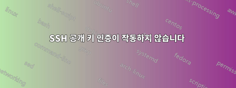 SSH 공개 키 인증이 작동하지 않습니다