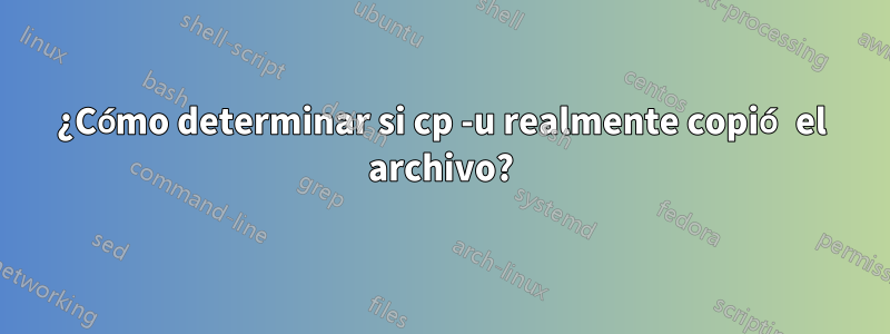 ¿Cómo determinar si cp -u realmente copió el archivo?