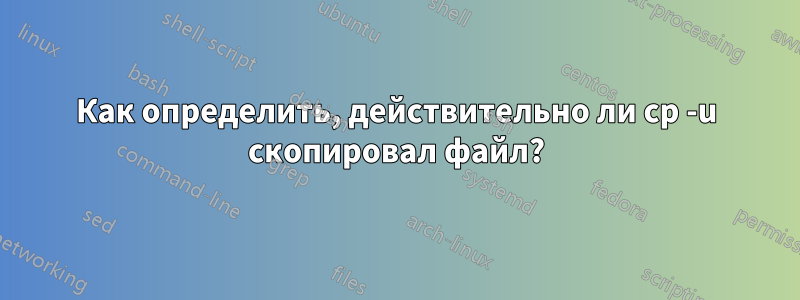 Как определить, действительно ли cp -u скопировал файл?