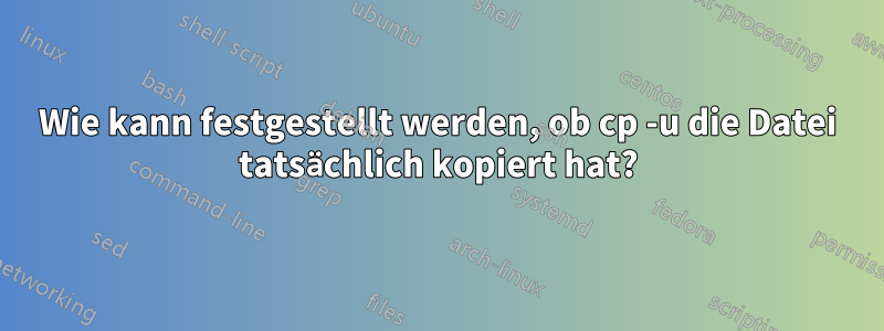 Wie kann festgestellt werden, ob cp -u die Datei tatsächlich kopiert hat?